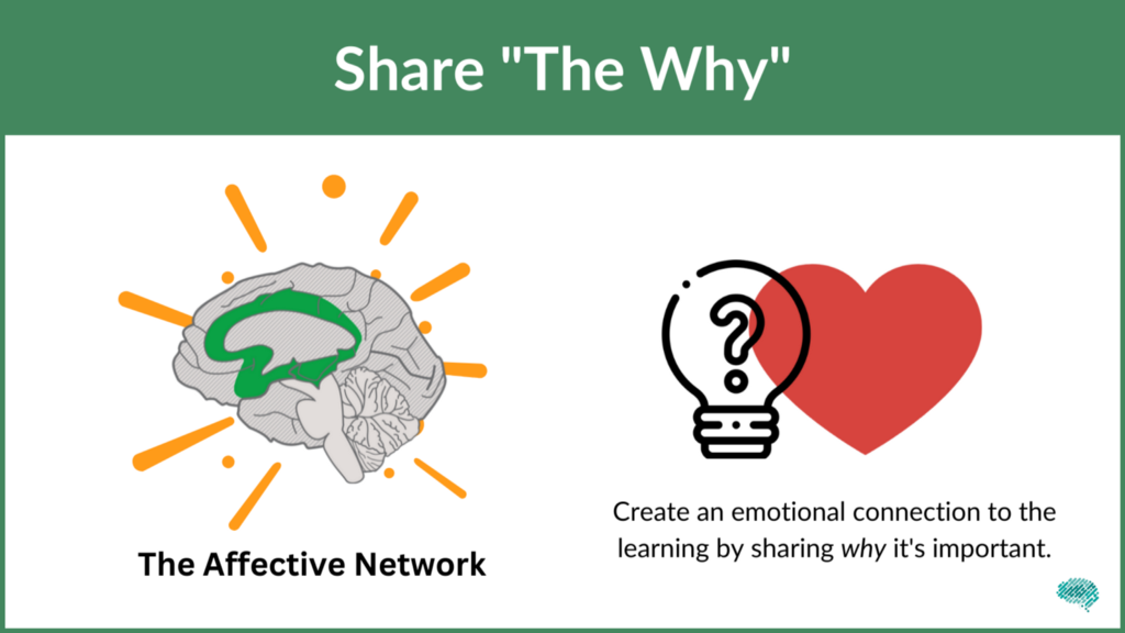 When designing supports that tap into the Affective Network, make sure to create an emotional connection to the learning by sharing why it’s important or relevant for learners.